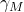 \gamma_{M}